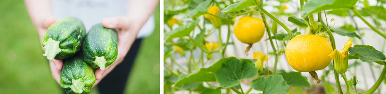 about2 EMCÒ×±¶¡¤(Öйú)ÌåÓý¹Ù·½ÍøÕ¾-EMC SPORTS