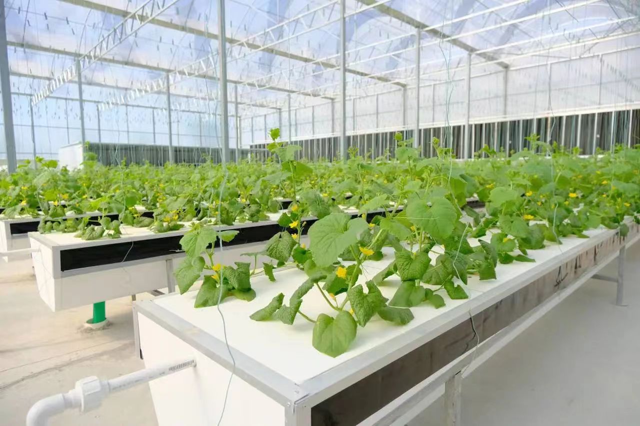 EMC�ױ���(�й�)�����ٷ���վ-EMC SPORTS