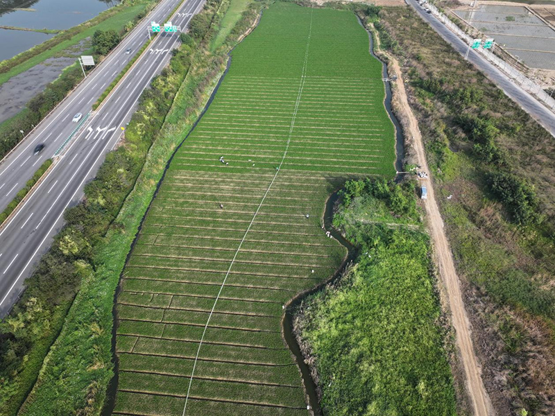 ������ҵ��Ӫ